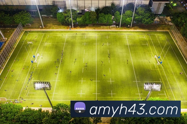 数据分析功能